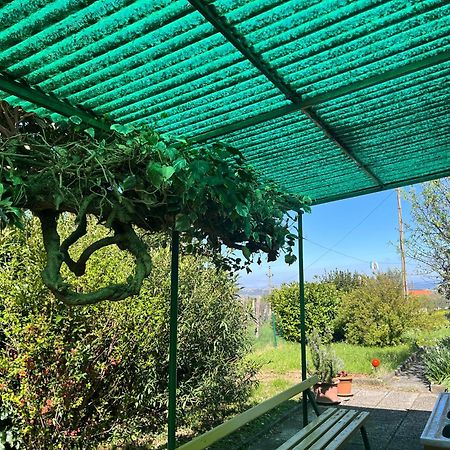 Apartma Korelc Koper városi község Kültér fotó