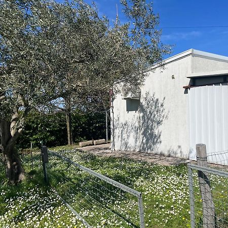 Apartma Korelc Koper városi község Kültér fotó