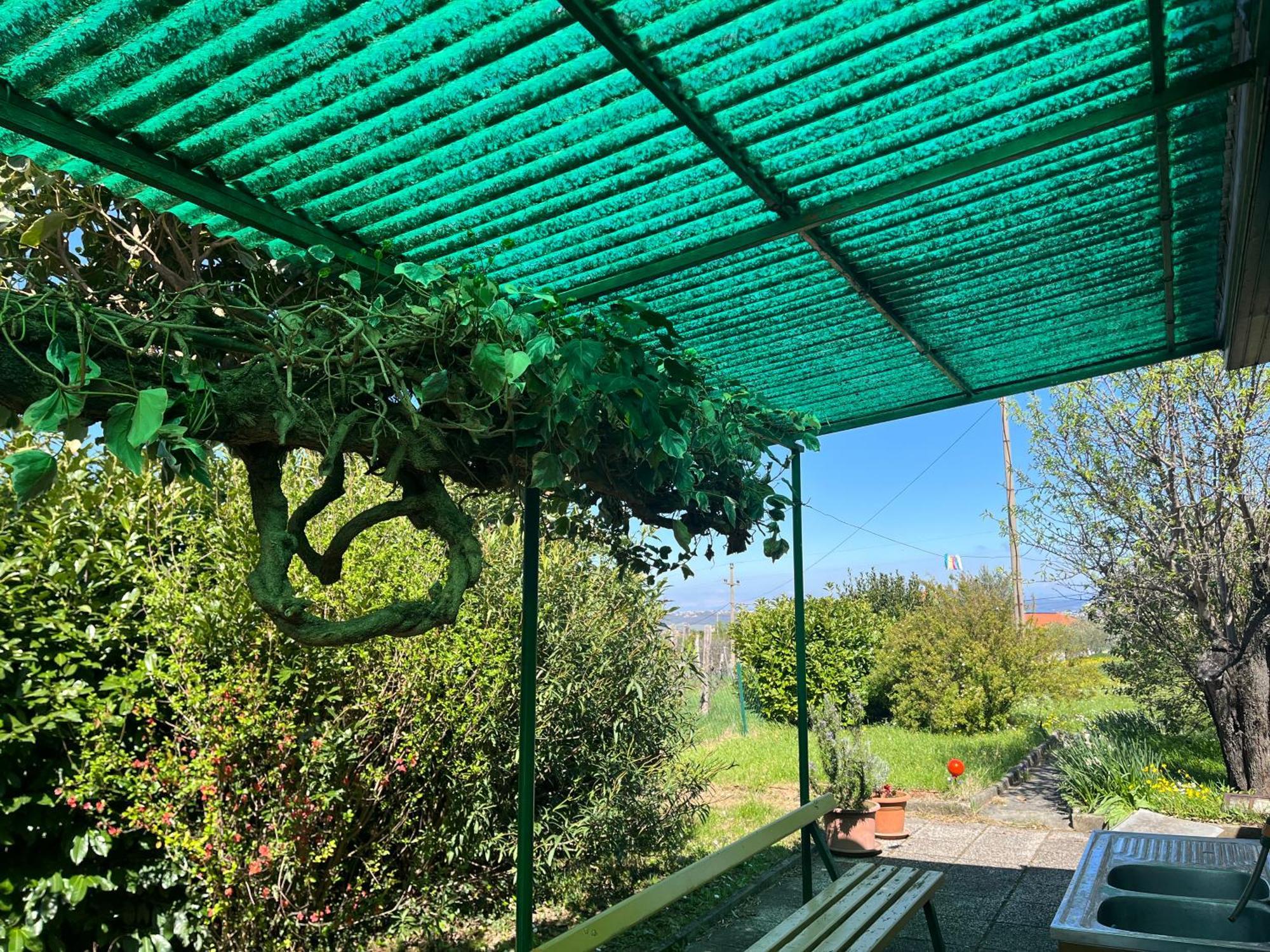Apartma Korelc Koper városi község Kültér fotó